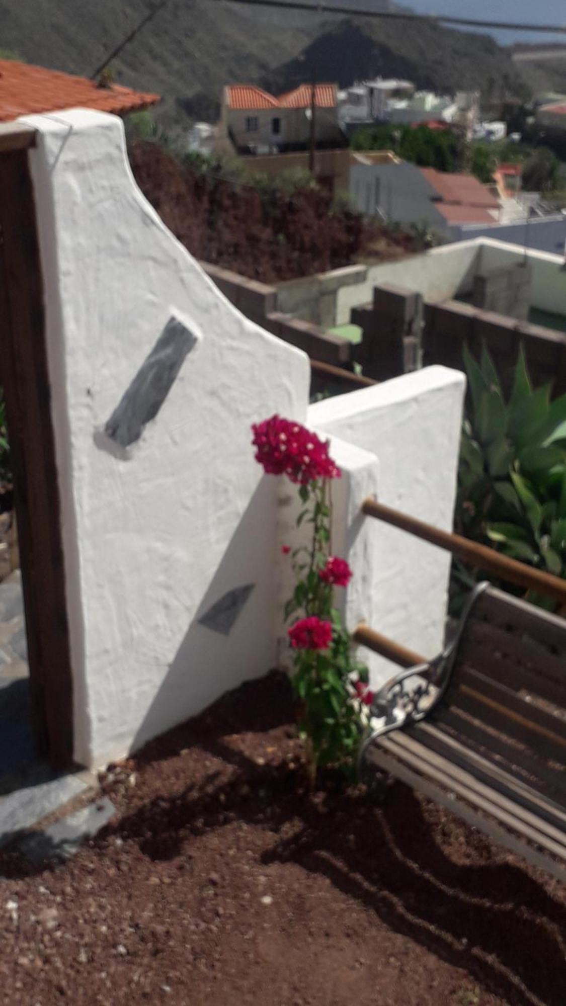 Nueva Casa Rural Piscina Privada Santa Cruz de Tenerife Kültér fotó